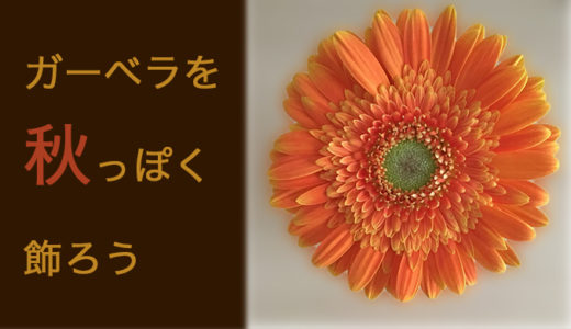 【オレンジ色】ガーベラを秋っぽく飾ろう【ハロウィン】