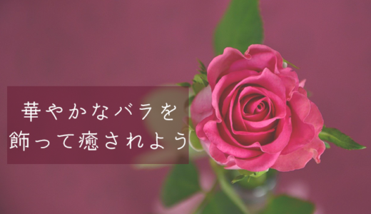 【プレゼント】華やかなバラを飾って癒されよう【花言葉】