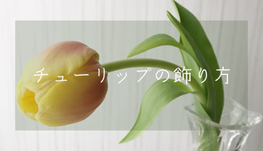 【カットの方法】チューリップの様々な飾り方【切り花】
