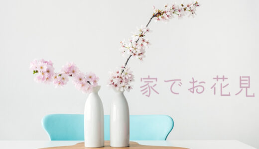 【おうちでお花見】桜を飾って家の中でお花見をして癒されよう【春の季節】