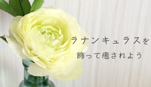 【春におすすめ】ラナンキュラスの一輪挿しを飾ろう【ふんわり花びら】