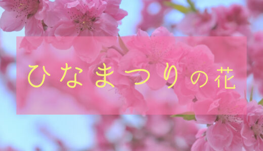 【桃の花】ひなまつりの花を飾って楽しもう【菜の花】