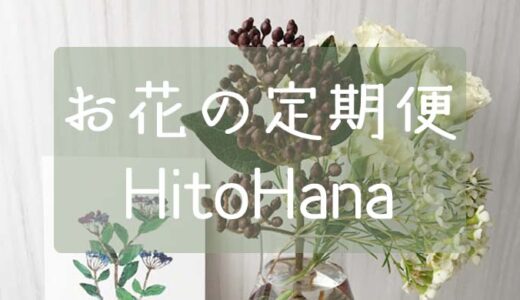 【ひとはな】HitoHanaのお花の定期便【サブスク体験レビュー】