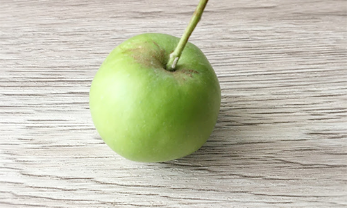 磨く前のリンゴ