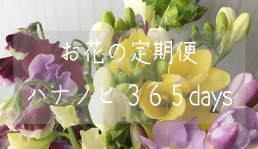 【お花の定期便】ハナノヒ３６５daysのサブスク実体験レビュー【日比谷花壇】