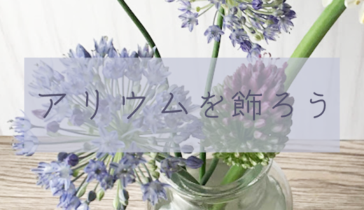 【切花】形が独特で種類豊富なアリウムを楽しもう【青い花】
