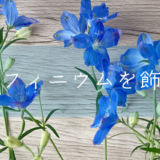 【青い花】デルフィニウムを飾って癒されよう【切り花】