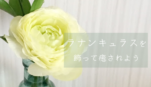 【春におすすめ】ラナンキュラスの一輪挿しを飾ろう【ふんわり花びら】